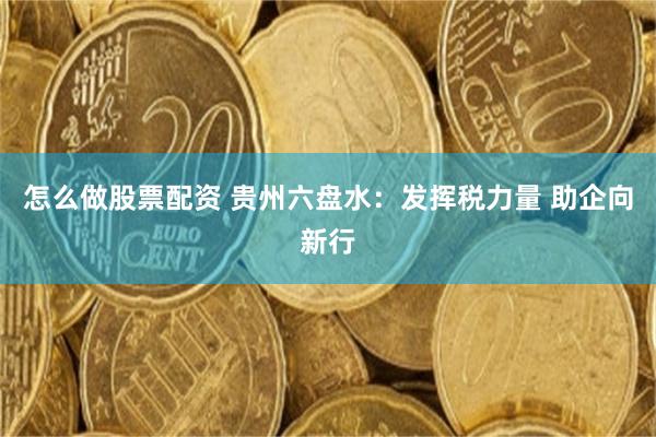 怎么做股票配资 贵州六盘水：发挥税力量 助企向新行