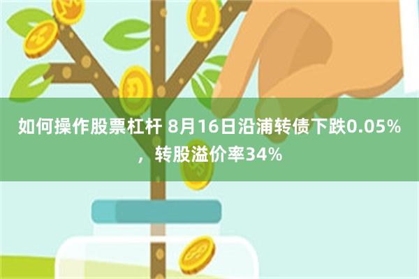 如何操作股票杠杆 8月16日沿浦转债下跌0.05%，转股溢价率34%