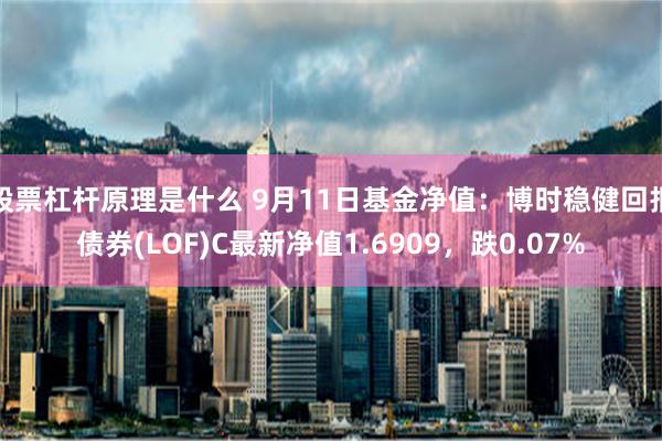 股票杠杆原理是什么 9月11日基金净值：博时稳健回报债券(LOF)C最新净值1.6909，跌0.07%