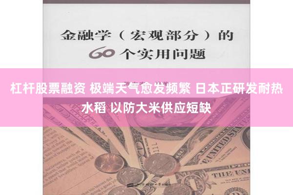 杠杆股票融资 极端天气愈发频繁 日本正研发耐热水稻 以防大米供应短缺