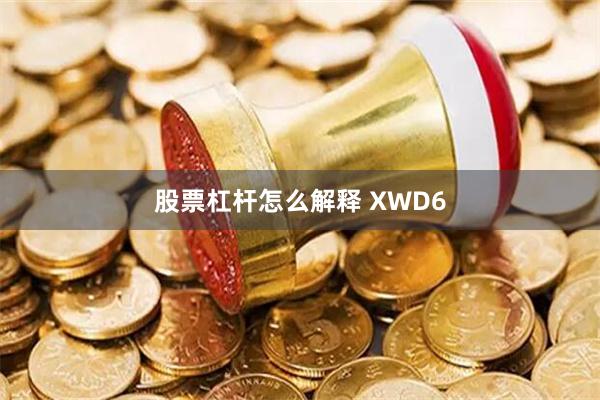 股票杠杆怎么解释 XWD6