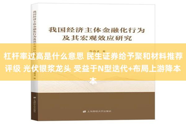 杠杆率过高是什么意思 民生证券给予聚和材料推荐评级 光伏银浆龙头 受益于N型迭代+布局上游降本