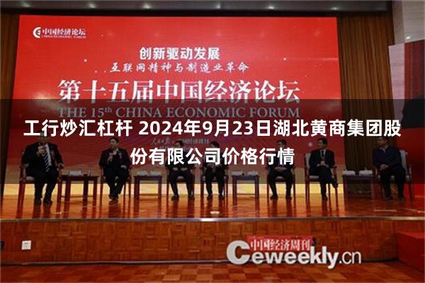 工行炒汇杠杆 2024年9月23日湖北黄商集团股份有限公司价格行情