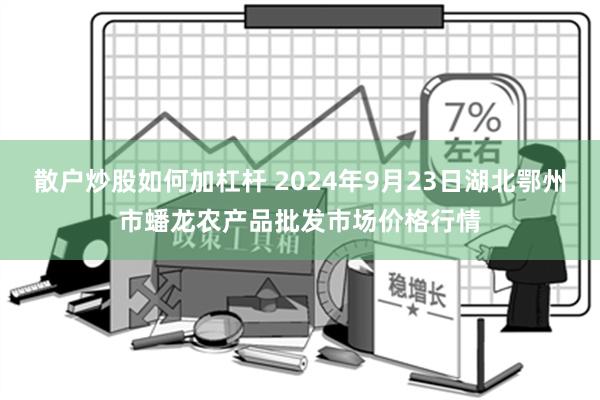 散户炒股如何加杠杆 2024年9月23日湖北鄂州市蟠龙农产品批发市场价格行情