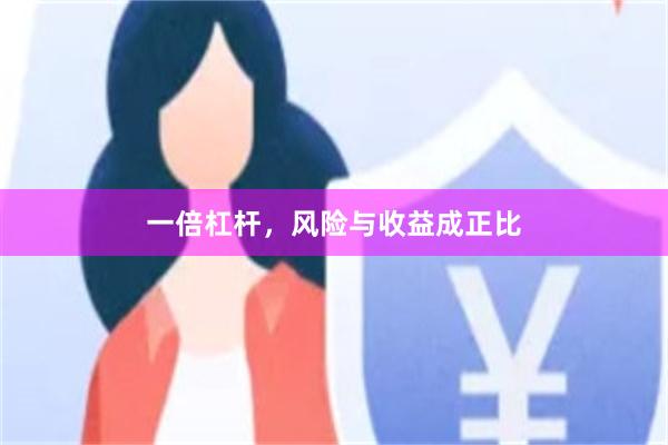 一倍杠杆，风险与收益成正比