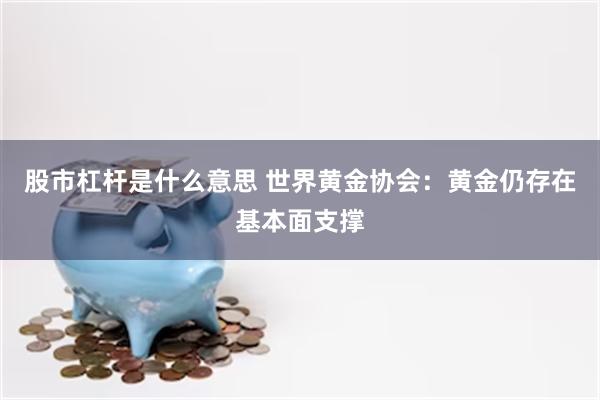 股市杠杆是什么意思 世界黄金协会：黄金仍存在基本面支撑