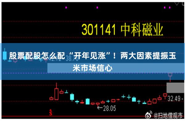 股票配股怎么配 “开年见涨”！两大因素提振玉米市场信心