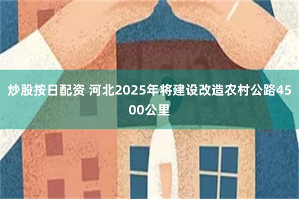 炒股按日配资 河北2025年将建设改造农村公路4500公里