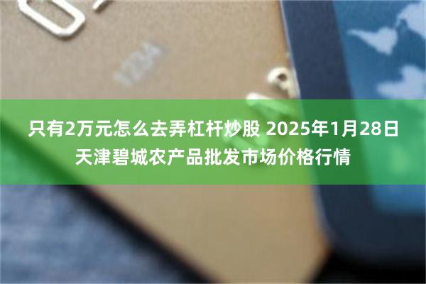 只有2万元怎么去弄杠杆炒股 2025年1月28日天津碧城农产品批发市场价格行情