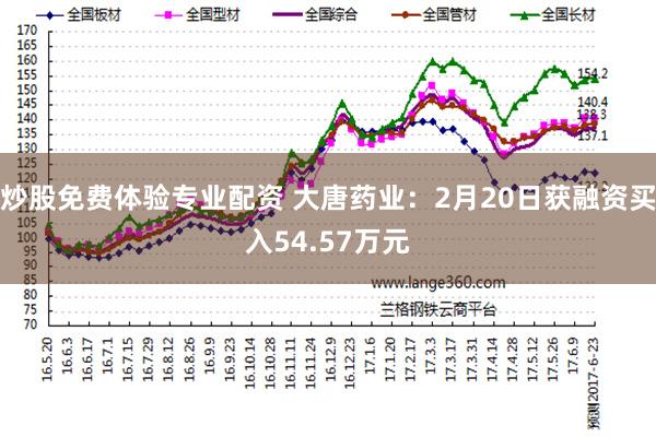 炒股免费体验专业配资 大唐药业：2月20日获融资买入54.57万元