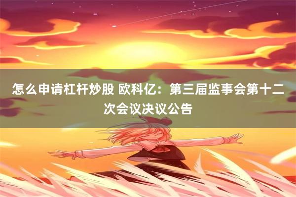 怎么申请杠杆炒股 欧科亿：第三届监事会第十二次会议决议公告