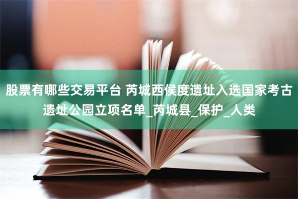 股票有哪些交易平台 芮城西侯度遗址入选国家考古遗址公园立项名单_芮城县_保护_人类