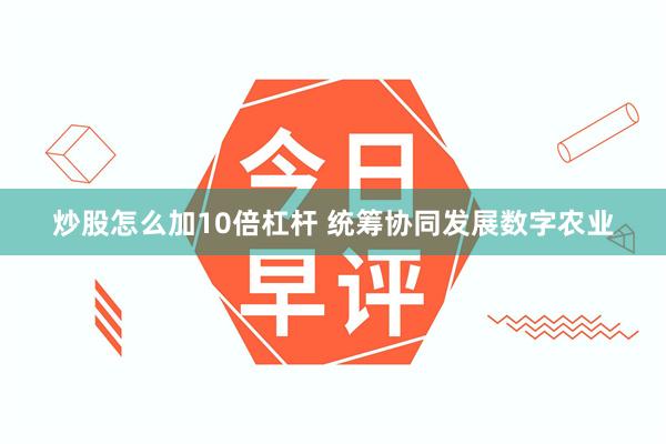 炒股怎么加10倍杠杆 统筹协同发展数字农业