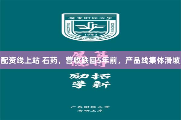 配资线上站 石药，营收跌回5年前，产品线集体滑坡
